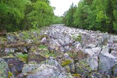 Каменная река 1